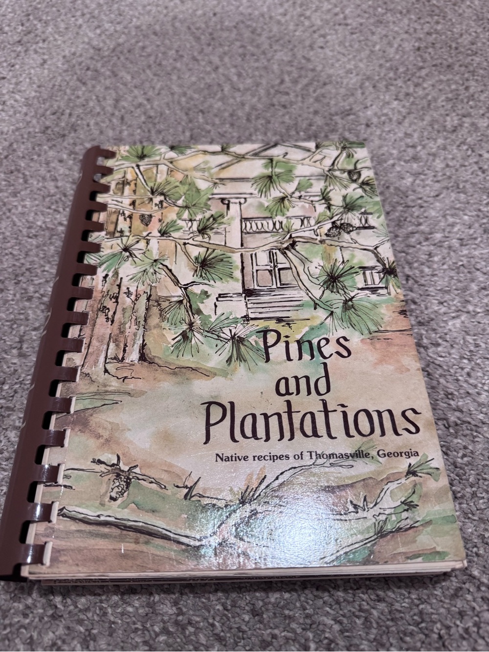 Pines and Plantations Cookbook vintage georgia- Brown & Green Cover